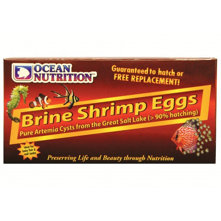 BRINE SHRIMP EGGS 20G - BLUE CORAL FISH TRADING L.L.C