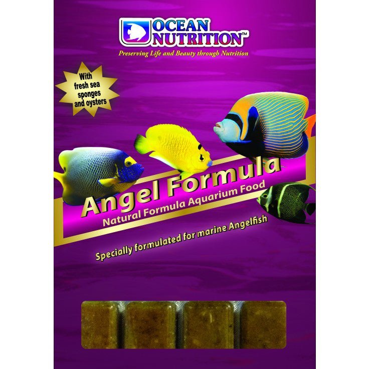 FROZEN ANGEL FORMULA 100G - BLUE CORAL FISH TRADING L.L.C