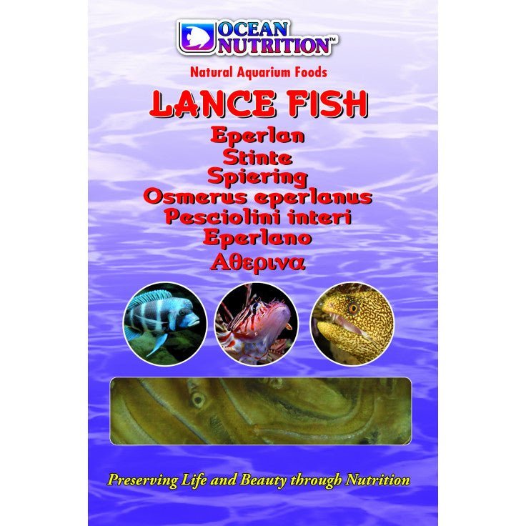 LANCE FISH 100G - BLUE CORAL FISH TRADING L.L.C