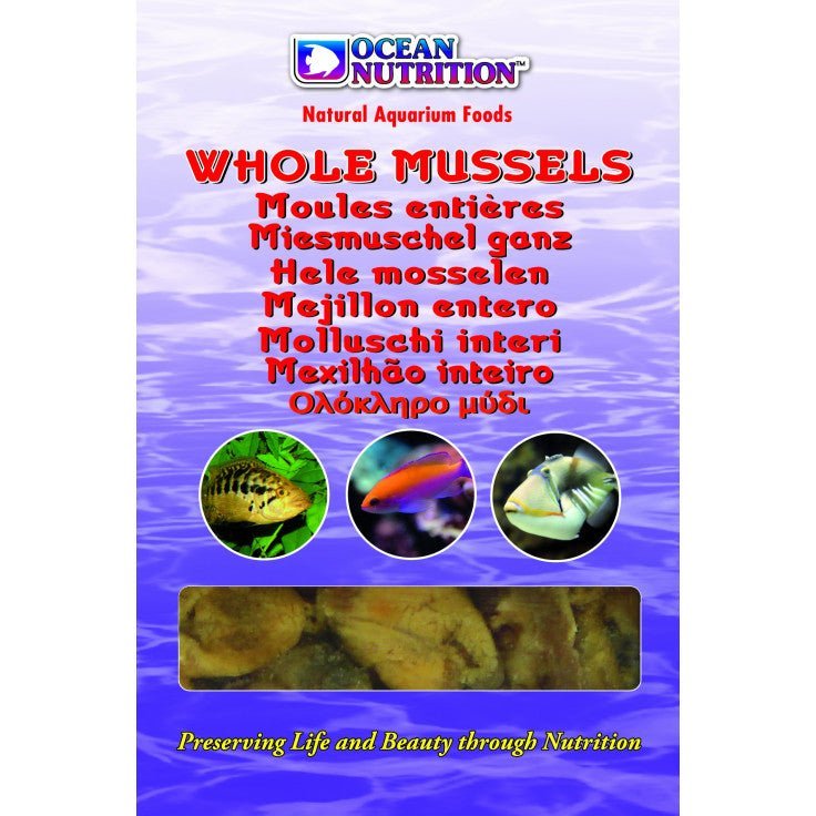 MUSSEL WHOLE 100G - BLUE CORAL FISH TRADING L.L.C