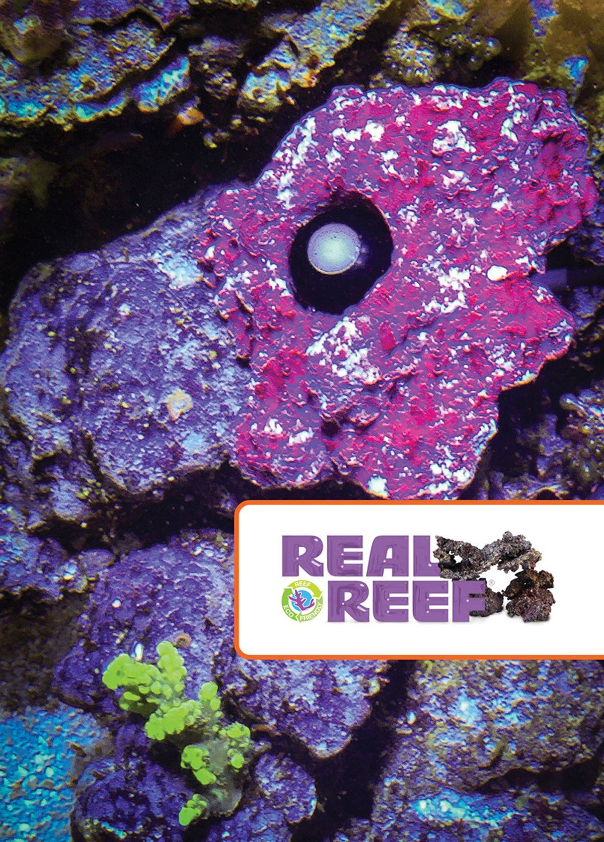 PMK PAR Monitoring Kit - Neptune Systems - BLUE CORAL FISH TRADING L.L.C