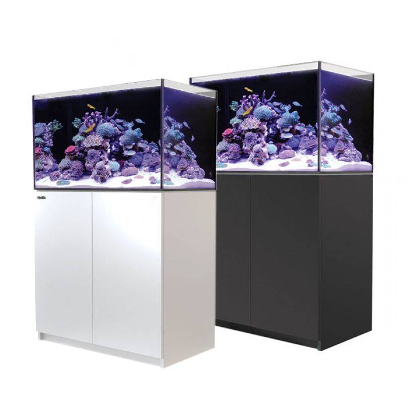 Reefer 250 G2 System (54 Gal) - Red Sea - BLUE CORAL FISH TRADING L.L.C