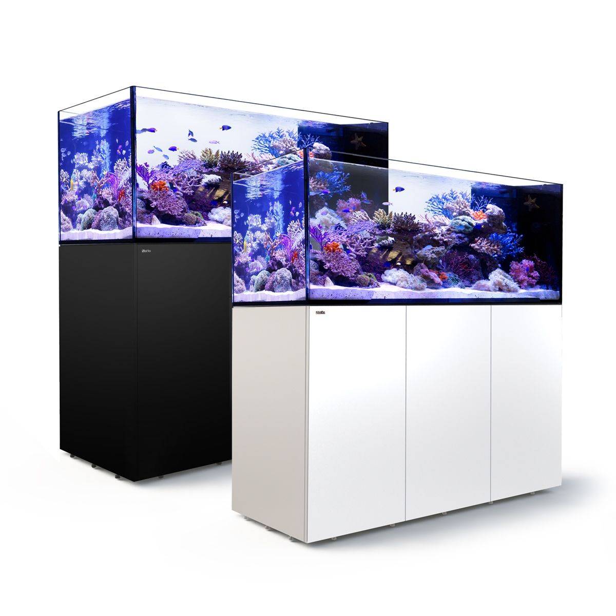 Reefer Peninsula 650 System (140 Gal) - Red Sea - BLUE CORAL FISH TRADING L.L.C