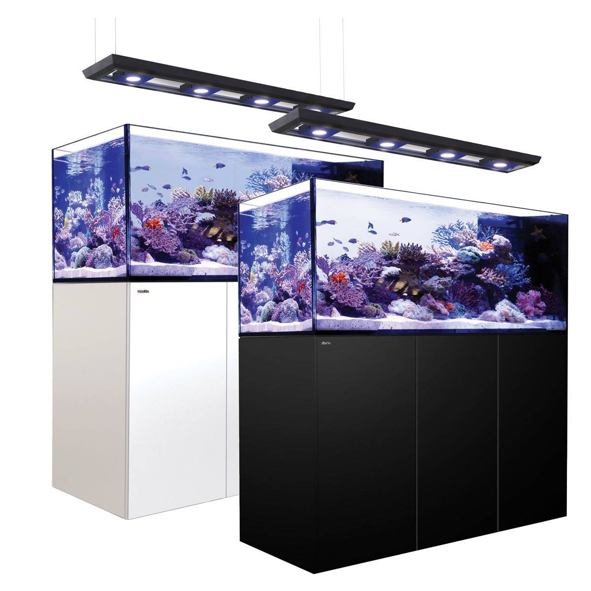 Reefer Peninsula Deluxe 650 System (140 Gal) - Red Sea - BLUE CORAL FISH TRADING L.L.C