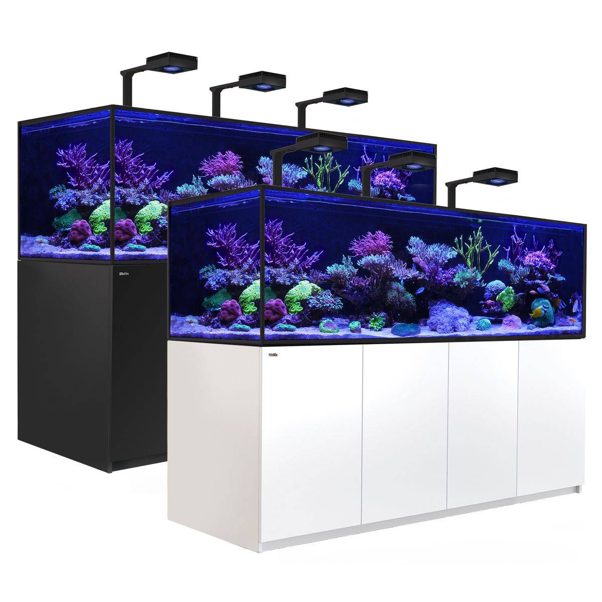 Reefer - S 1000 COMPLETE SYSTEM (210 Gal) - Red Sea - BLUE CORAL FISH TRADING L.L.C