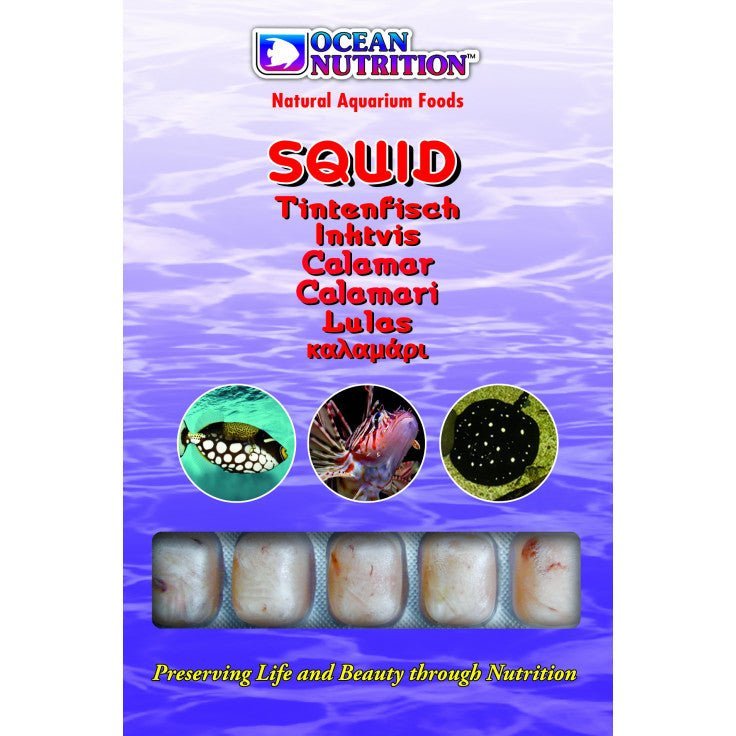 SQUID 100G - BLUE CORAL FISH TRADING L.L.C